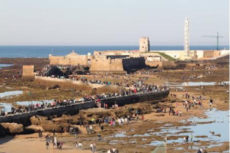 Chipirones con Langostinos y Bajamar en Cadiz Chipirones con Langostinos y Bajamar en Cadiz
